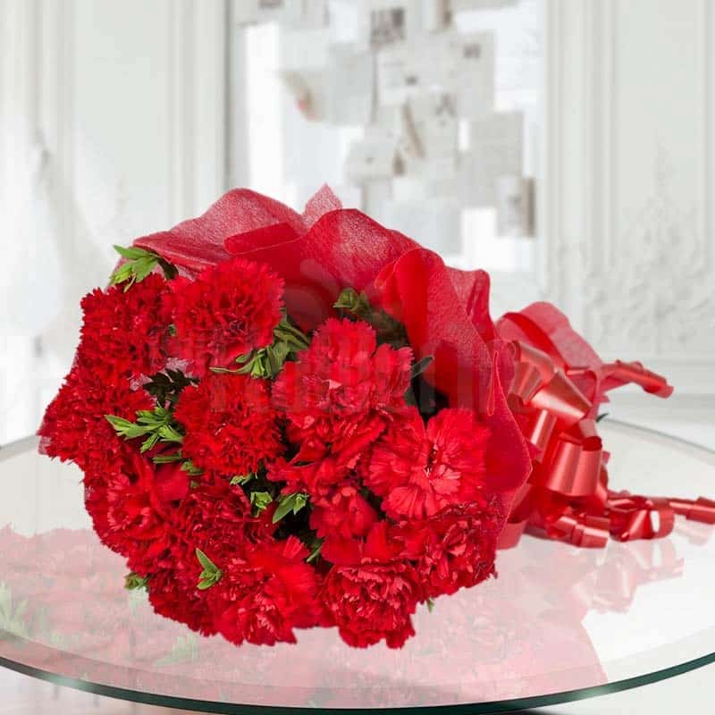 Deep set red carnation