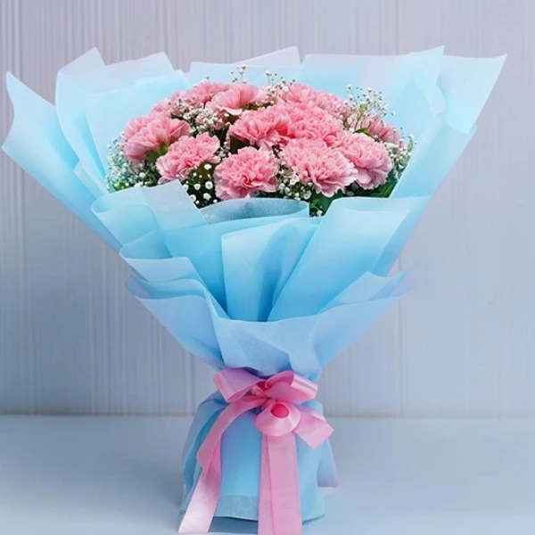 Charming-carnation