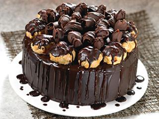 Chocolate profitrol cake