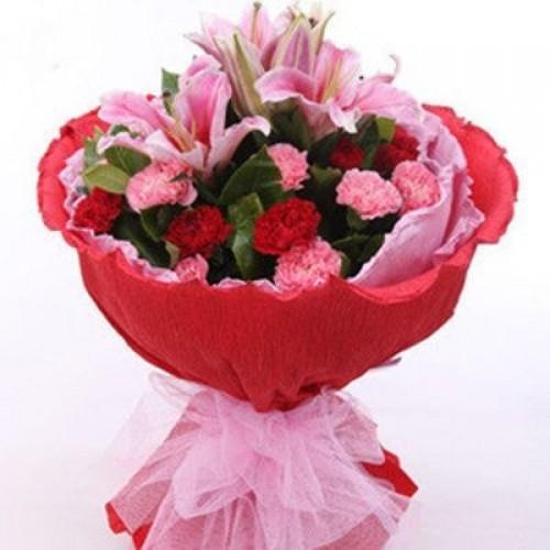 Red and pink carnation in red packing