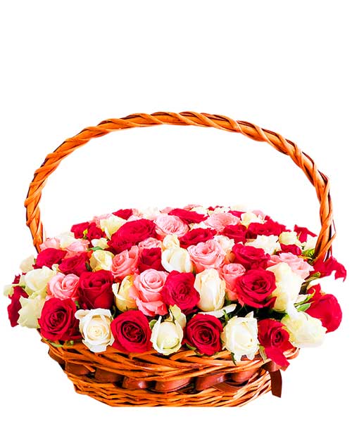 100 mix roses basket